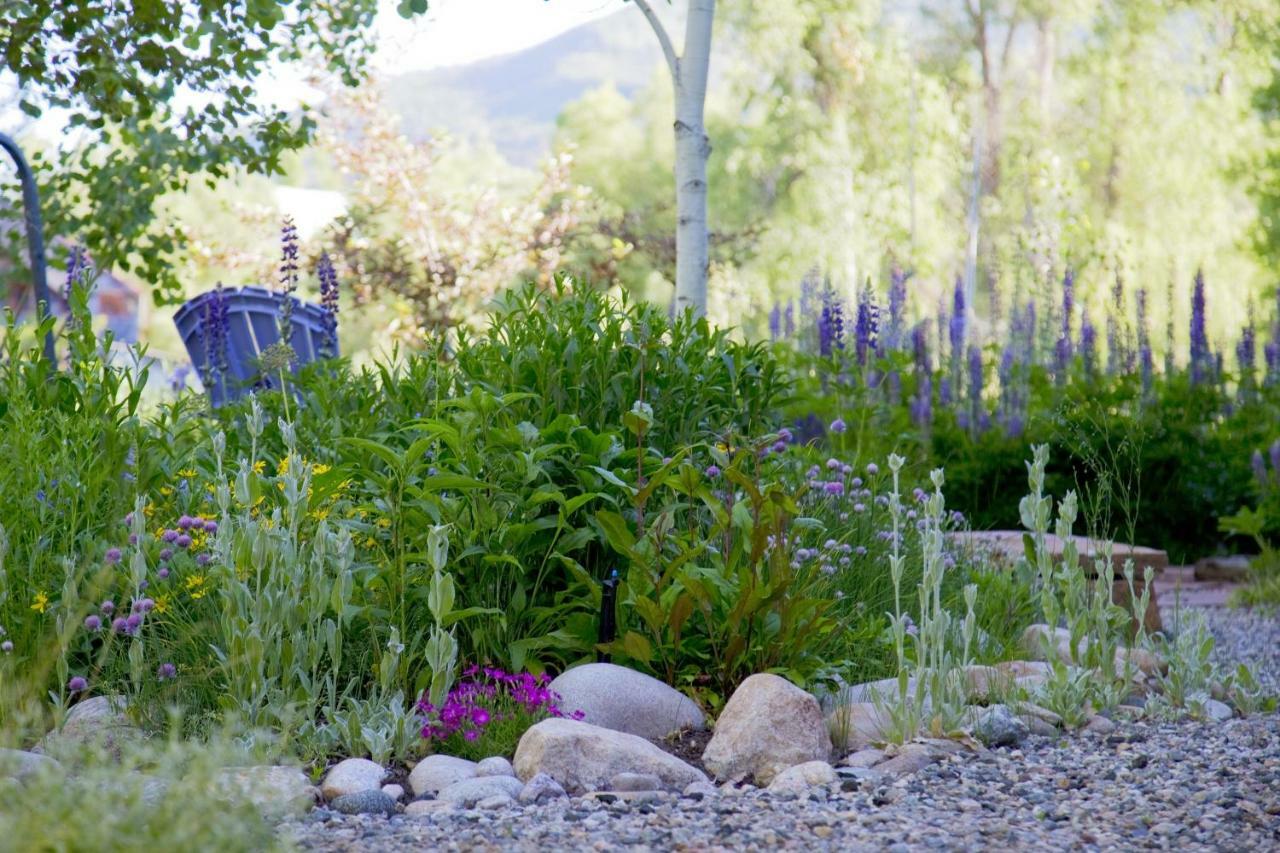 Mariposa Lodge Bed And Breakfast Steamboat Springs Eksteriør billede